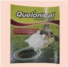 Quelonical 1pz