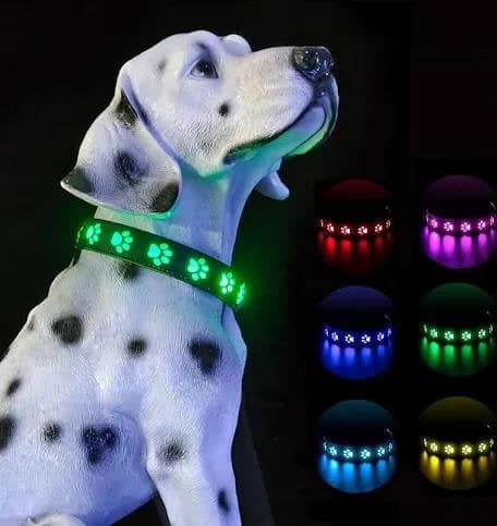 Collar Led Gde Huella