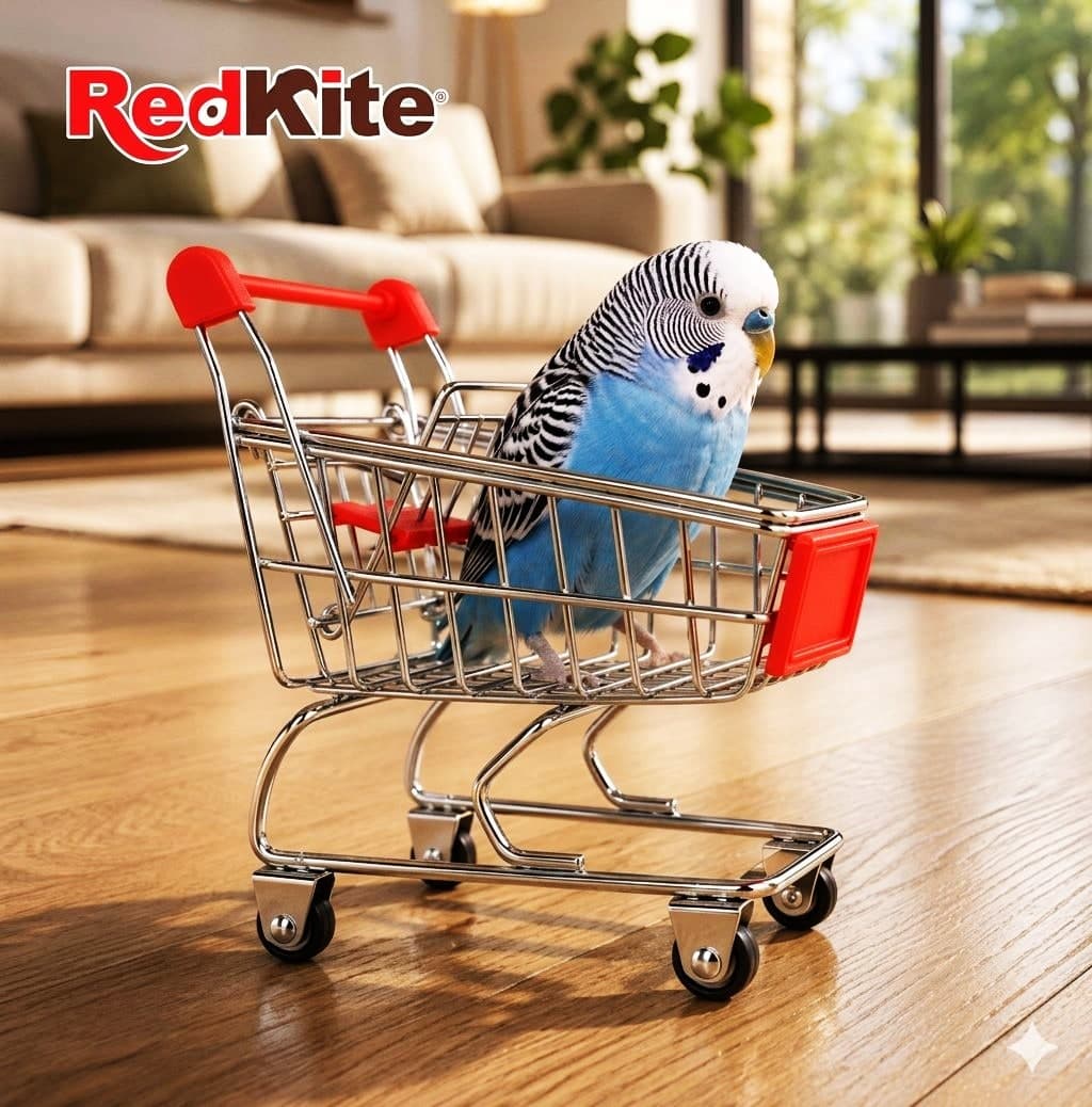 Juguete Fly Car P/ave